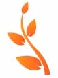 Engage with simple web design