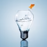 Innovation